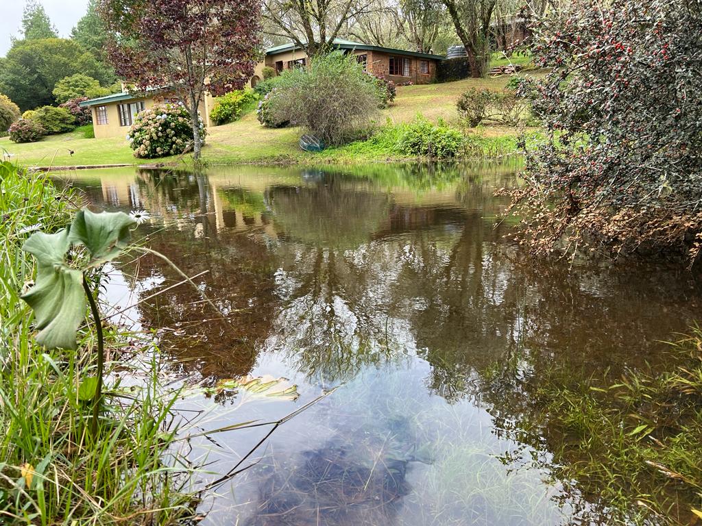 WhatsApp Image 2023-03-28 at 08.59.28 (1)