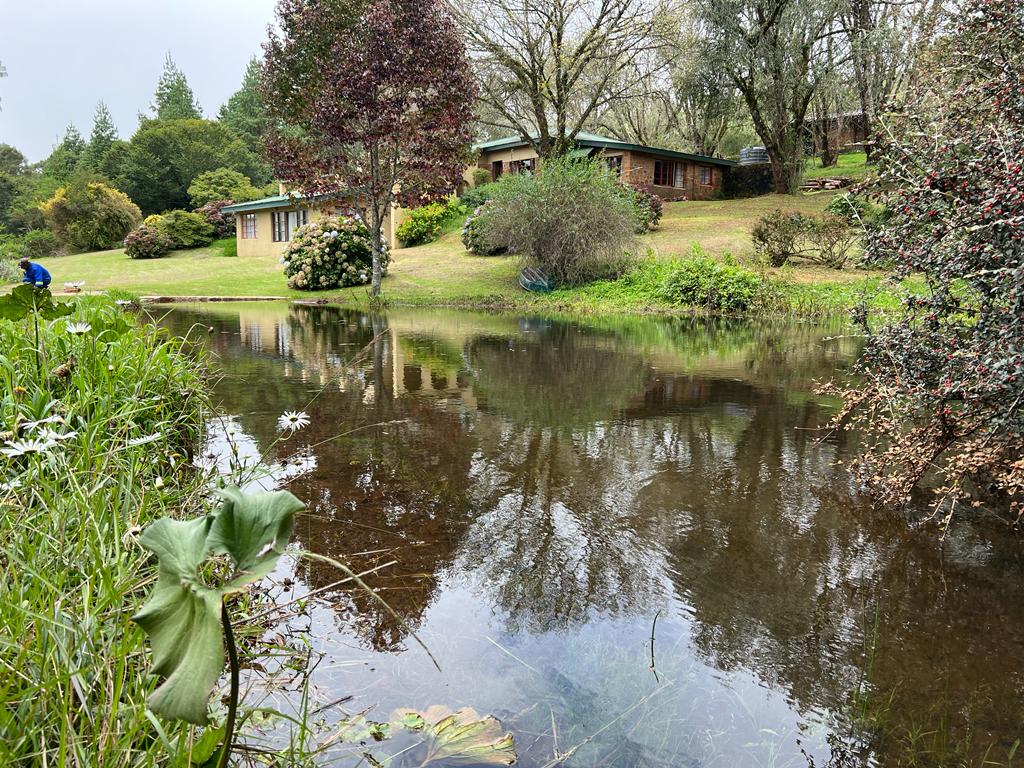 WhatsApp Image 2023-03-28 at 08.59.28