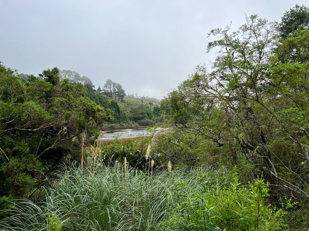 WhatsApp Image 2023-03-28 at 08.59.29