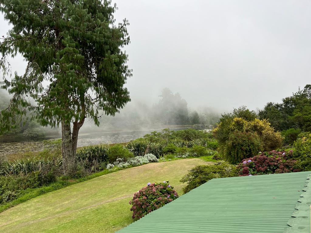 WhatsApp Image 2023-03-28 at 08.59.31 (2)