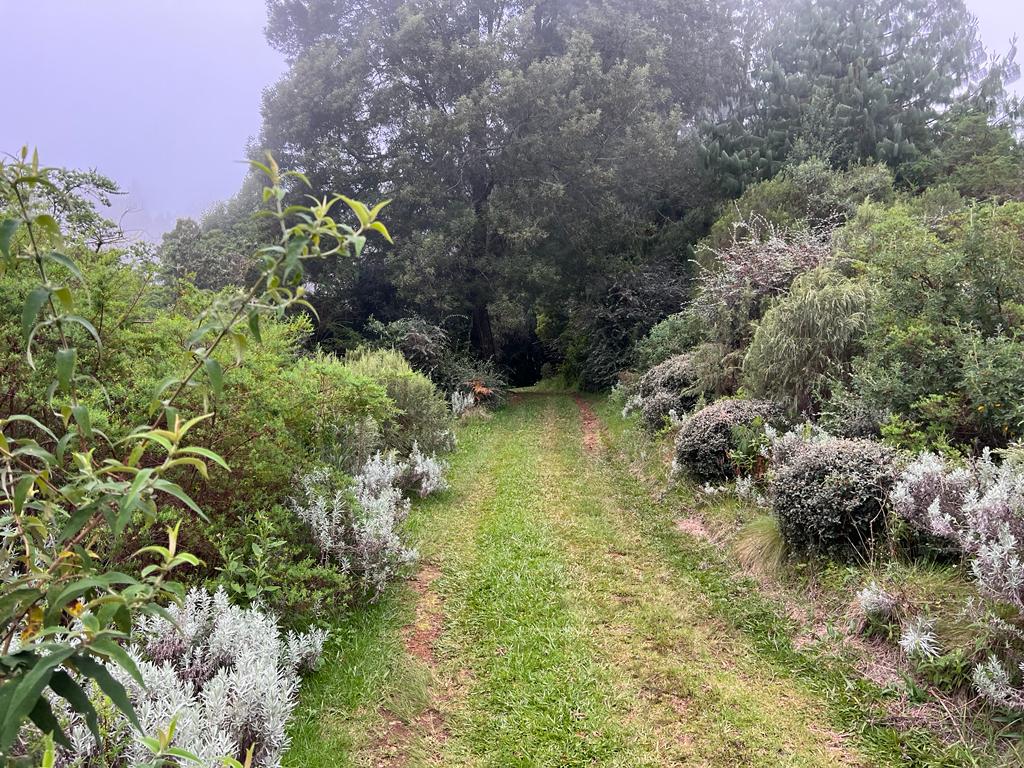 WhatsApp Image 2023-03-28 at 08.59.32 (1)