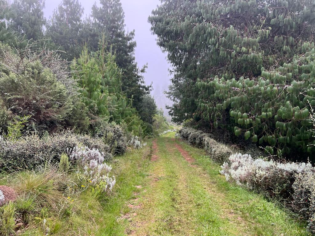 WhatsApp Image 2023-03-28 at 08.59.32 (2)