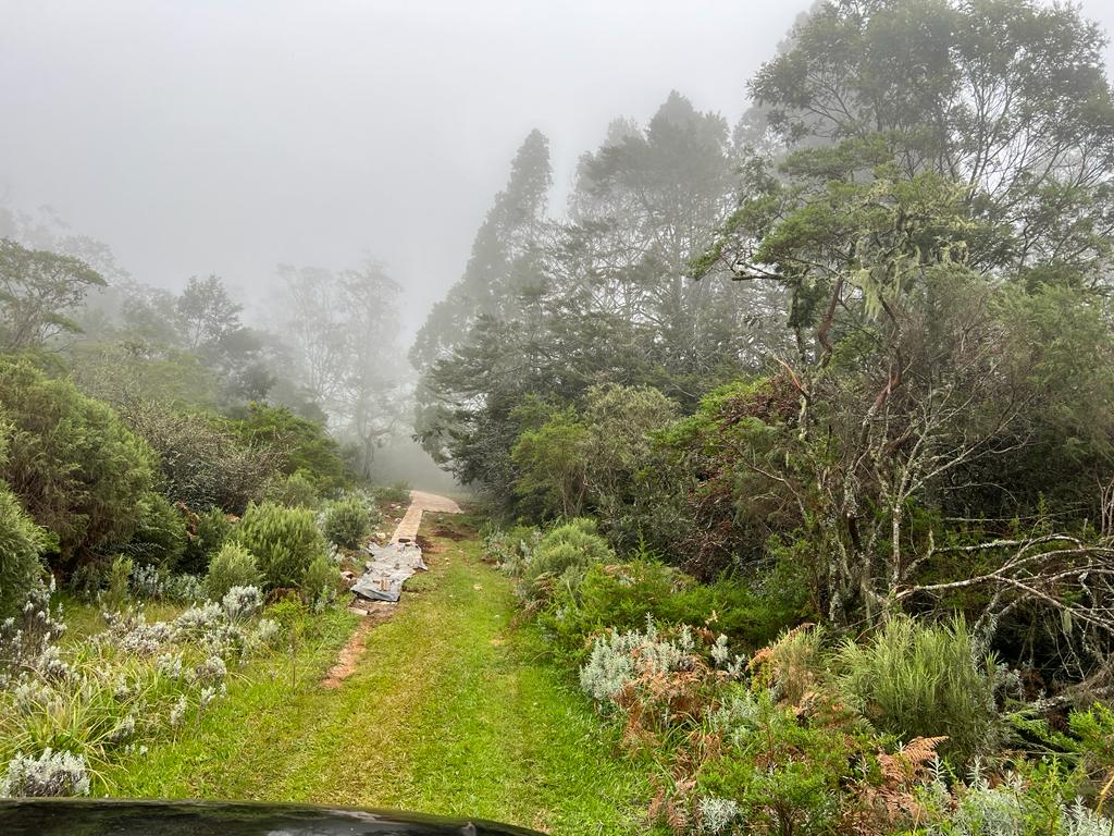 WhatsApp Image 2023-03-28 at 08.59.33 (1)