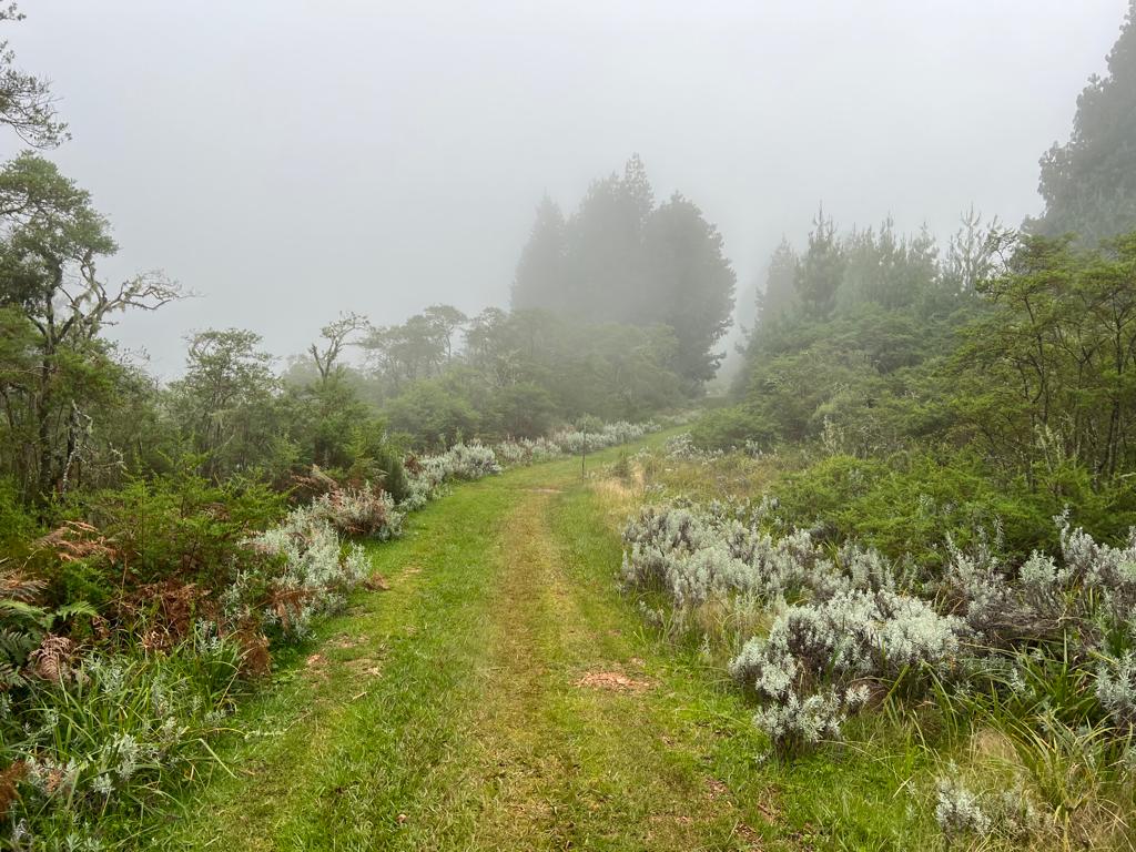 WhatsApp Image 2023-03-28 at 08.59.33 (2)