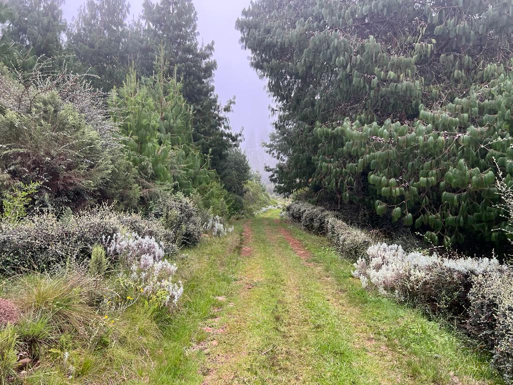 WhatsApp Image 2023-03-28 at 08.59.33