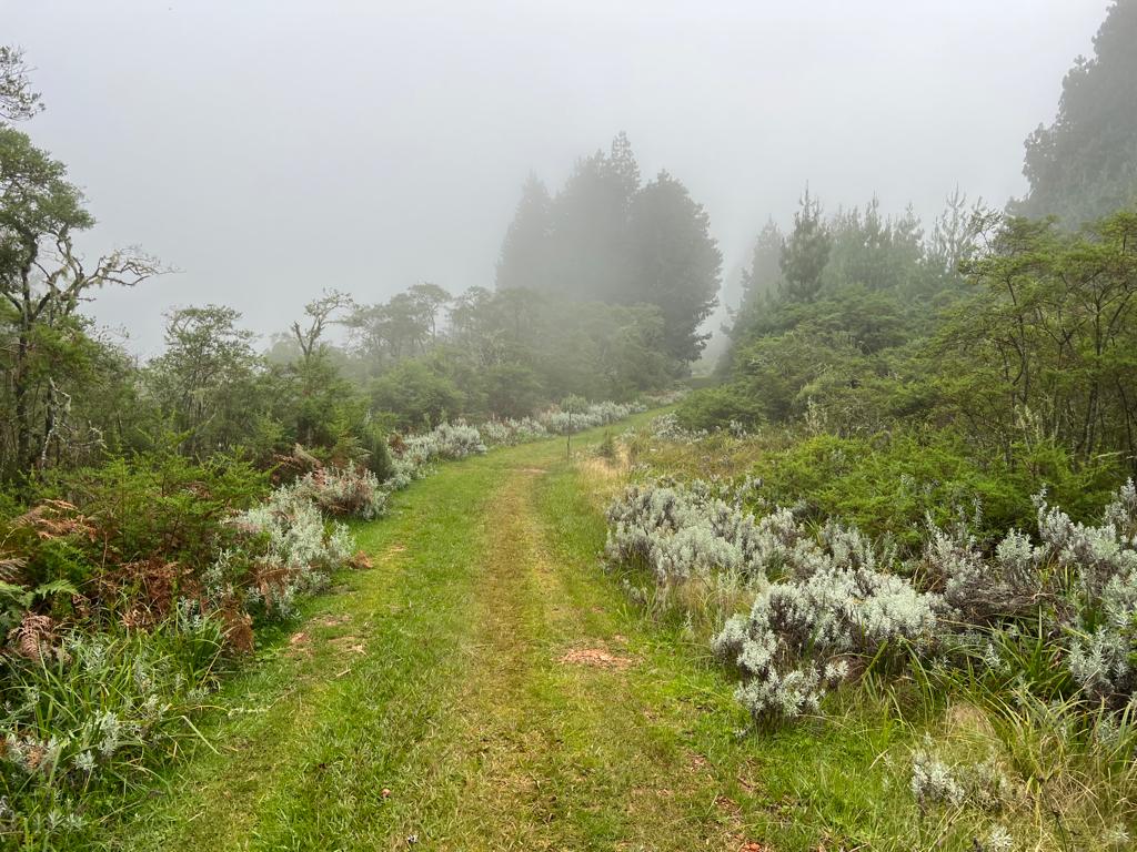 WhatsApp Image 2023-03-28 at 08.59.37